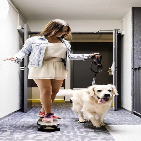 Ibis Budget Sud 2* Perpignan