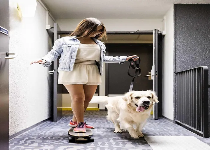 Ibis Budget Sud 2* Perpinhã